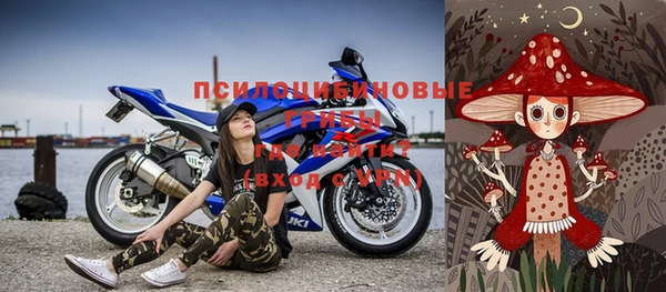 соль ск Алзамай