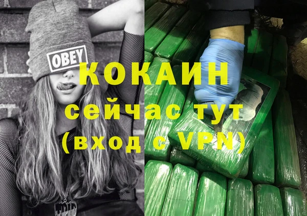 соль ск Алзамай