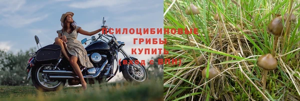 кокс Алексин